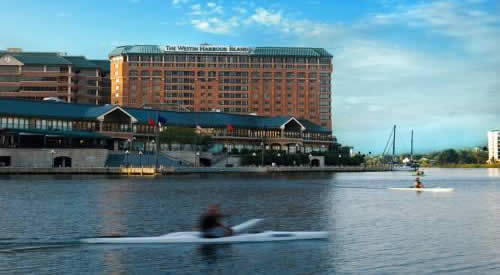 Tampa the Westin Harbour Island