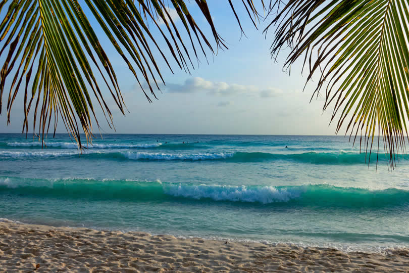 Palm trees at tropical beach Caribbean